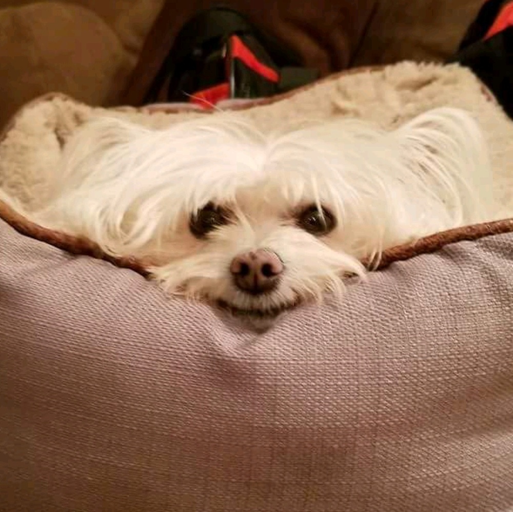 Meet your Posher, Roxann